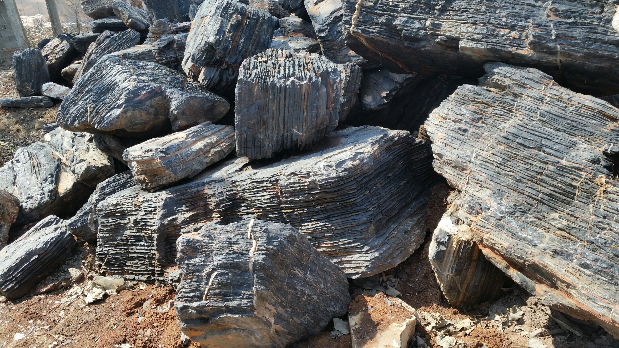 含海绿石叠层石_Glauconitic stromatolite limestone_国家岩矿化石标本资源共享平台